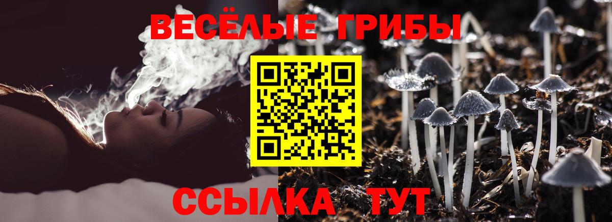 Галлюциногенные грибы Cubensis  Псилоцибиновые грибы MAGIC MUSHROOMS  сколько стоит  Вход с VPN  Шелехов 