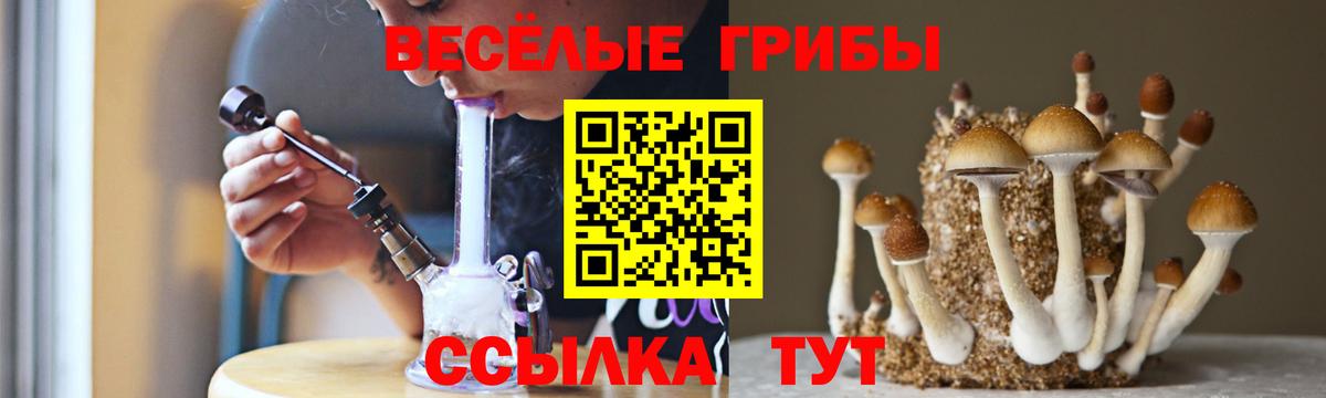 Галлюциногенные грибы ЛСД Шелехов